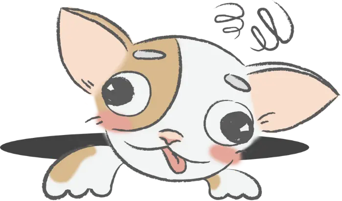 jiji